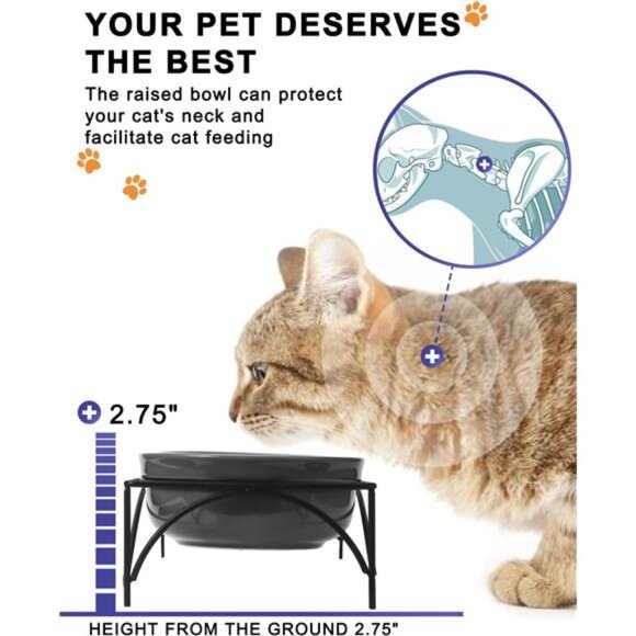 Dog&Cat Food Bowls,12OZ Ceramic Raised Pet Bowls for Food and Water, Two Dishes - Picture 4 of 7